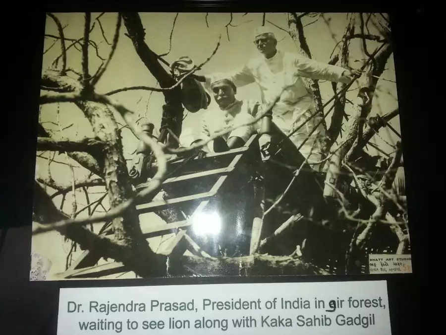 Dr. Rajendra Prasad President of India in Gir Forest, wating to see Lion along with Kaka Sahib Gadgil