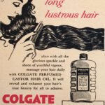 Vintage Magazine Advertisement – Plate 01 (13)