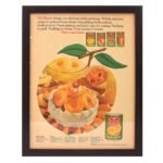 Vintage Advertisement – Archival Item DSC_1644A